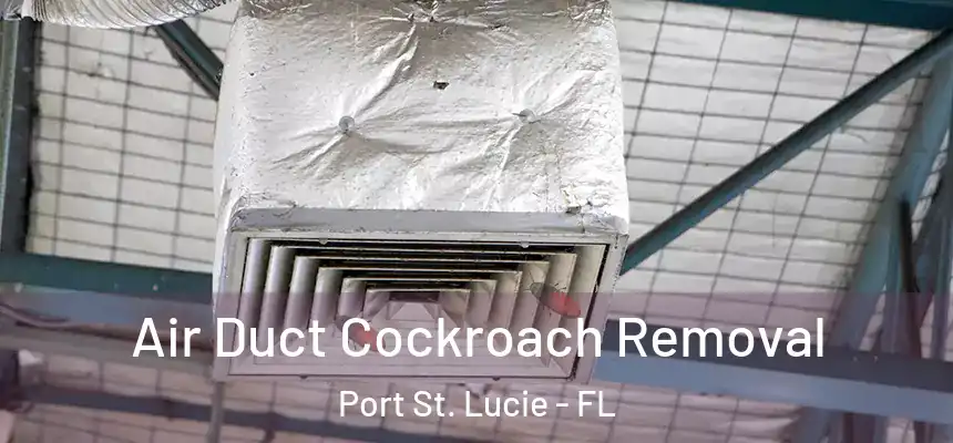 Air Duct Cockroach Removal Port St. Lucie - FL