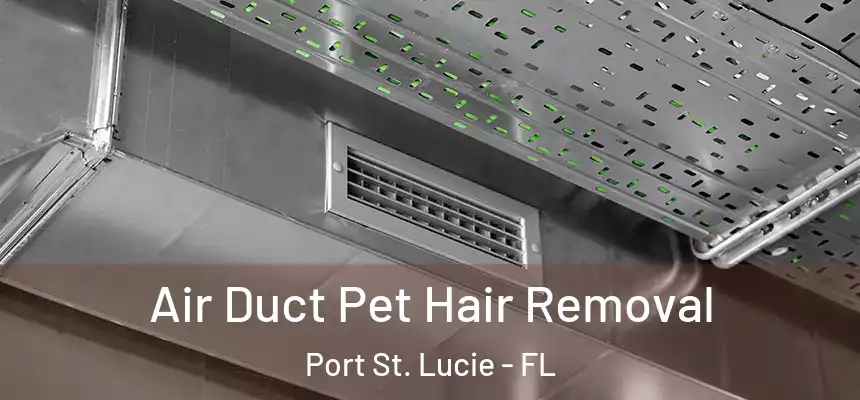  Air Duct Pet Hair Removal Port St. Lucie - FL