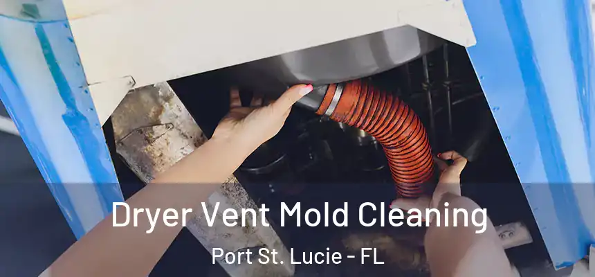  Dryer Vent Mold Cleaning Port St. Lucie - FL