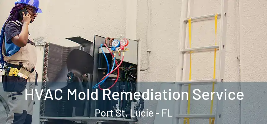  HVAC Mold Remediation Service Port St. Lucie - FL