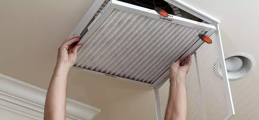 Preventive Cockroach-Proofing for Ducts in Port St. Lucie