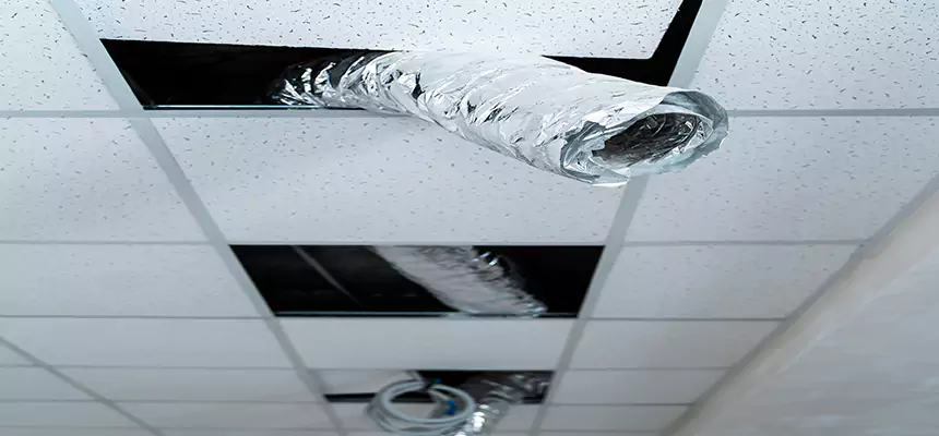 Our Air Duct Pet Hair Removal Services in Port St. Lucie, FL