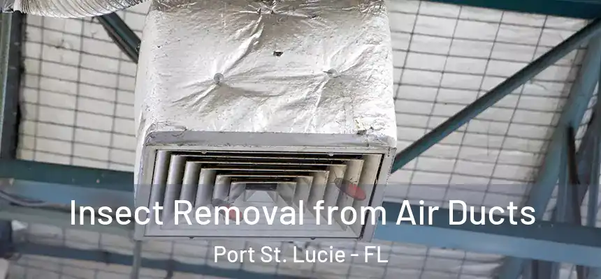  Insect Removal from Air Ducts Port St. Lucie - FL