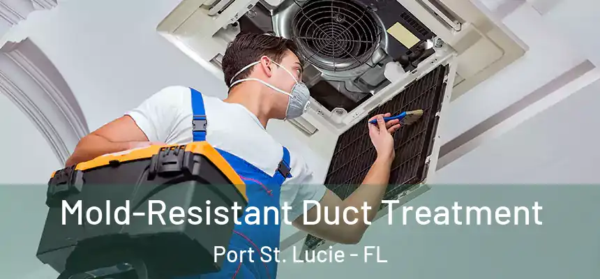 Mold-Resistant Duct Treatment Port St. Lucie - FL