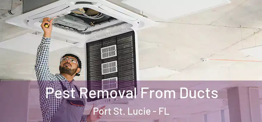  Pest Removal From Ducts Port St. Lucie - FL