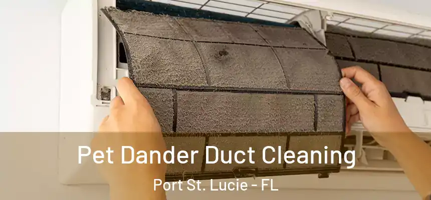 Pet Dander Duct Cleaning Port St. Lucie - FL