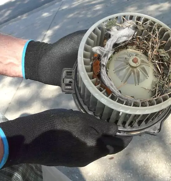 About Air Duct Rat Removal in Port St. Lucie, FL