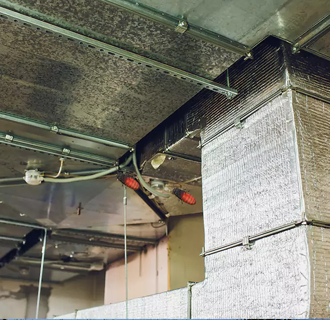 Why Homeowners & Businesses Trust Us in Port St. Lucie, FL?