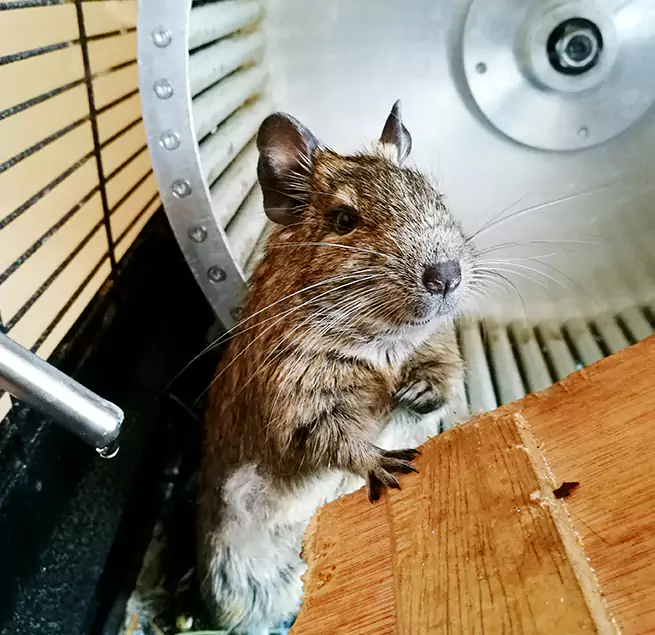 Why Homeowners & Businesses Trust Us Port St. Lucie, FL?