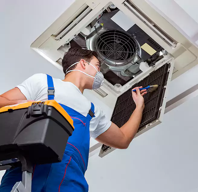 Why Homeowners & Businesses Trust Us in Port St. Lucie, FL