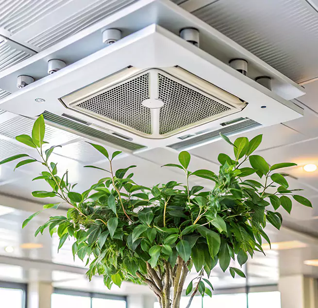 Why Homeowners & Businesses Trust Us in Port St. Lucie, FL?