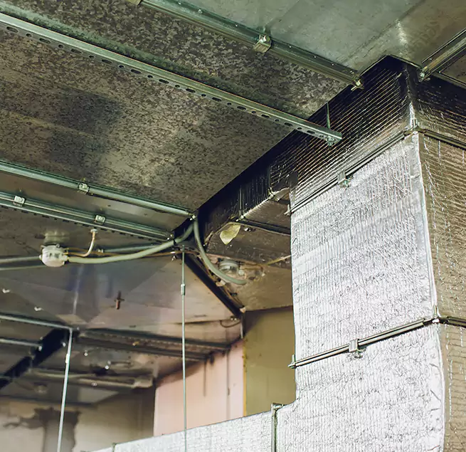 Why Homeowners & Businesses Trust Us in Port St. Lucie, FL?